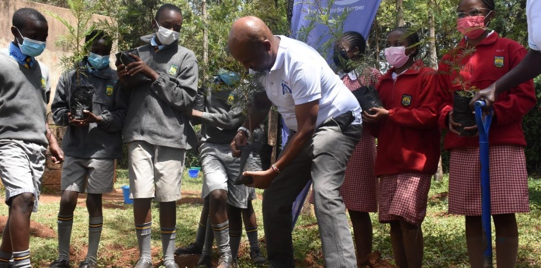 Various trees planted @ Nairobi Primary School; Mulinga, Griveria, Thika Palm and B.A.T