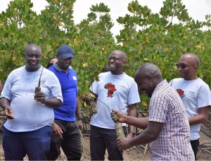 KenTrade staff participating in the Mangrove forest tree planting.