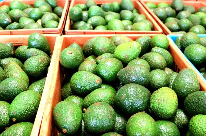 Banner on Avocados for trade.